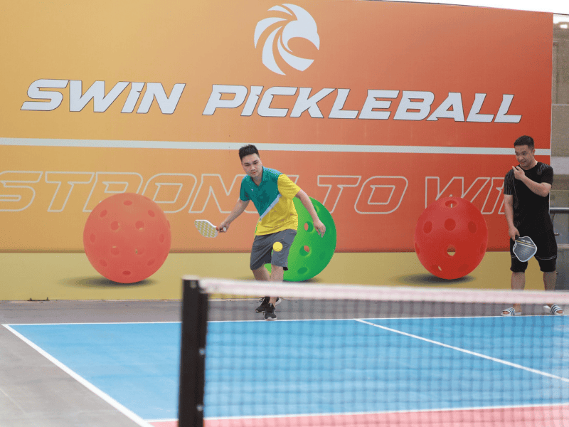 Kỹ thuật đánh cơ bản trong Pickleball